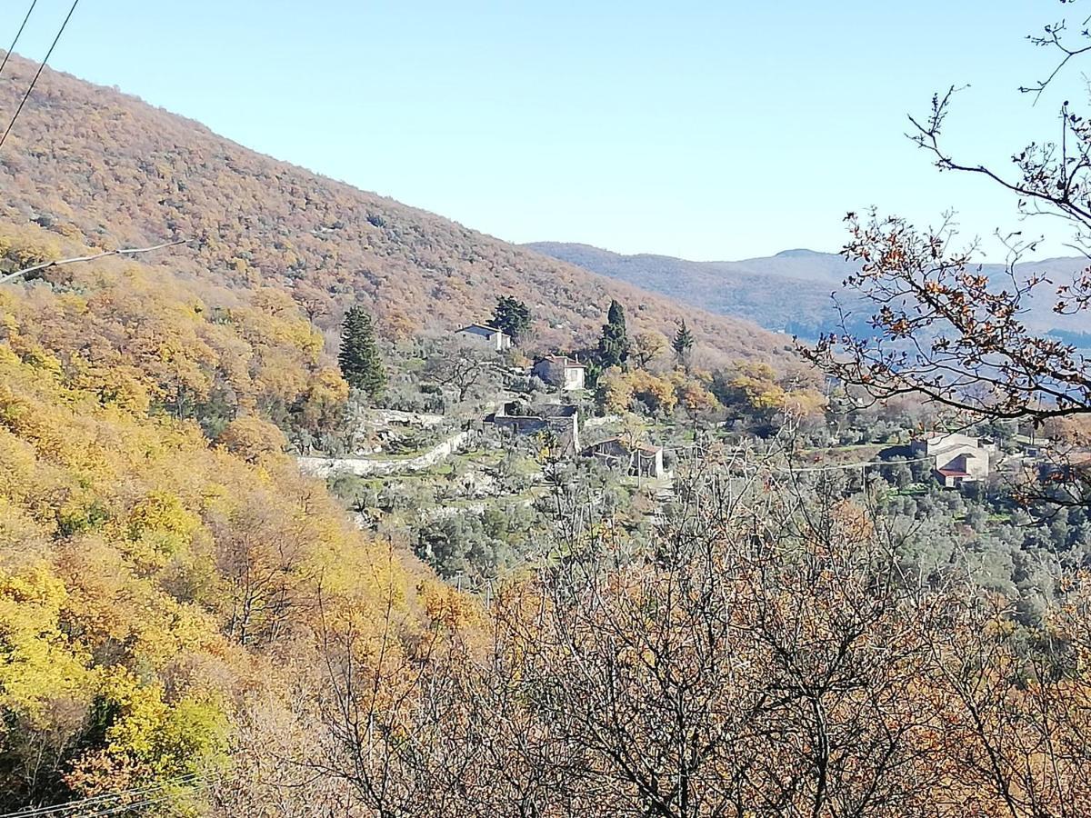 Agriturismo Casamatta Azienda Agricola Calenzano Extérieur photo