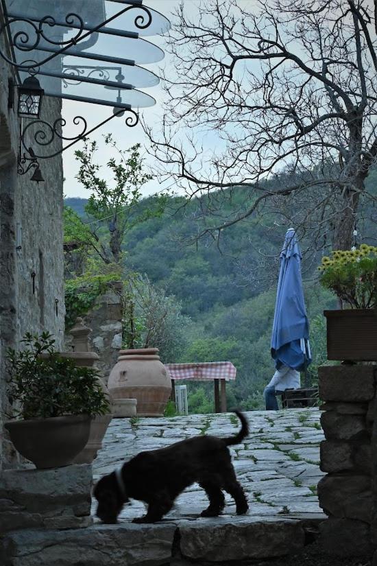 Agriturismo Casamatta Azienda Agricola Calenzano Extérieur photo